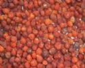 Iqf Wild Rose Hip (Sales6 At Lgberry Dot Com Dot Cn)